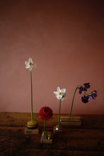 Load image into Gallery viewer, Niwaki Kensan Floral Pins
