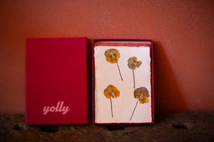 Box of Pressed Flower Cards