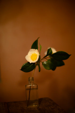 Mixed Best Of The Seasons