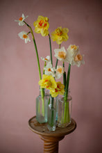 Load image into Gallery viewer, Seasonal Bud Vase Selection

