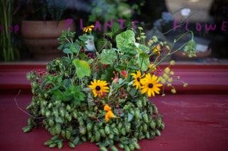 Funeral Tribute - Planted Wreath