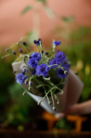 Seasonal Bouquet: Best of the Season