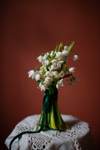 Snowdrops, Vase & Pressed Card