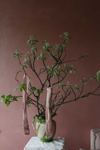 FOLIAGE  ONLY- BRANCHES