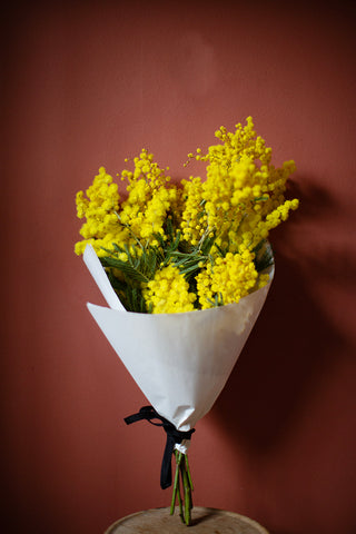 Mimosa Bouquet