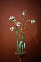 Load image into Gallery viewer, Seasonal Bud Vase Selection
