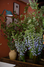 Load image into Gallery viewer, Yolly&#39;s Choice, seasonal mix of  flowers, sent loose to arrange.
