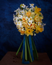 Load image into Gallery viewer, Daffodils
