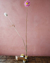 Load image into Gallery viewer, Niwaki Kensan Floral Pins
