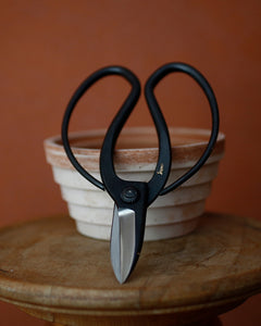 Niwaki Gardening Scissors
