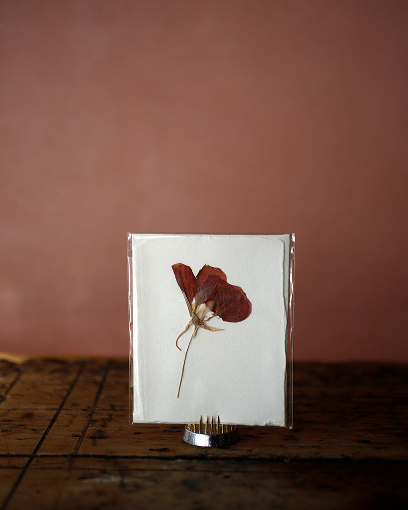 Pressed Flower Card Mini